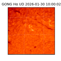 gong - 2026-01-30T10:00:02