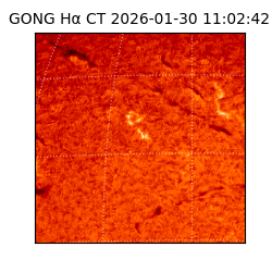 gong - 2026-01-30T11:02:42