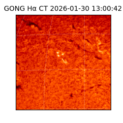 gong - 2026-01-30T13:00:42