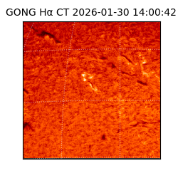 gong - 2026-01-30T14:00:42