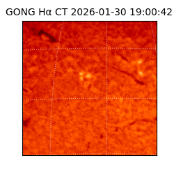 gong - 2026-01-30T19:00:42