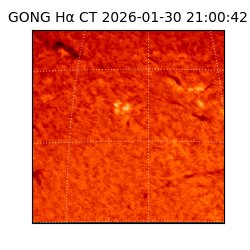 gong - 2026-01-30T21:00:42