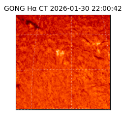 gong - 2026-01-30T22:00:42