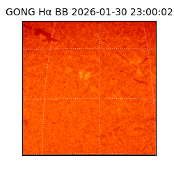 gong - 2026-01-30T23:00:02