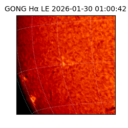 gong - 2026-01-30T01:00:42