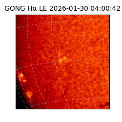 gong - 2026-01-30T04:00:42