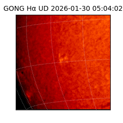 gong - 2026-01-30T05:04:02