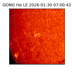 gong - 2026-01-30T07:00:42