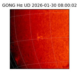 gong - 2026-01-30T08:00:02