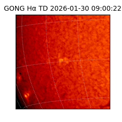 gong - 2026-01-30T09:00:22