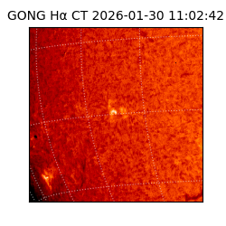 gong - 2026-01-30T11:02:42