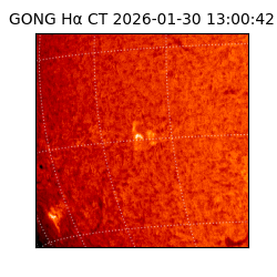 gong - 2026-01-30T13:00:42