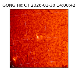 gong - 2026-01-30T14:00:42