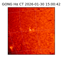 gong - 2026-01-30T15:00:42