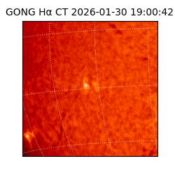 gong - 2026-01-30T19:00:42