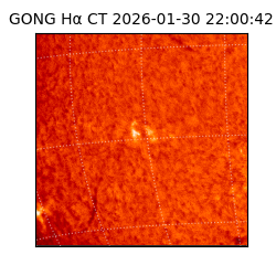 gong - 2026-01-30T22:00:42