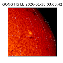 gong - 2026-01-30T03:00:42