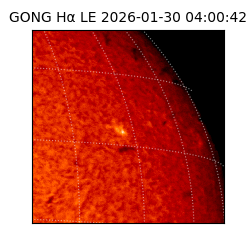 gong - 2026-01-30T04:00:42
