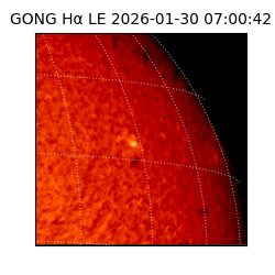 gong - 2026-01-30T07:00:42