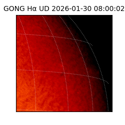 gong - 2026-01-30T08:00:02