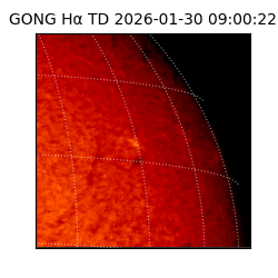 gong - 2026-01-30T09:00:22