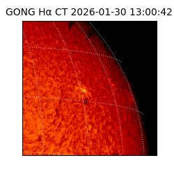 gong - 2026-01-30T13:00:42