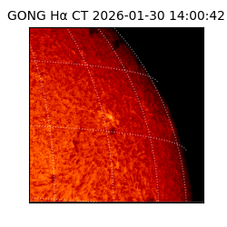 gong - 2026-01-30T14:00:42