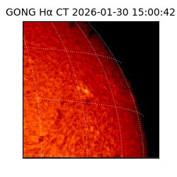 gong - 2026-01-30T15:00:42