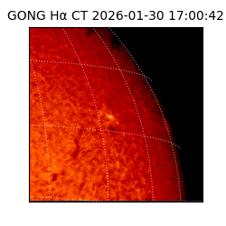 gong - 2026-01-30T17:00:42