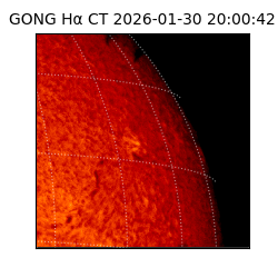 gong - 2026-01-30T20:00:42