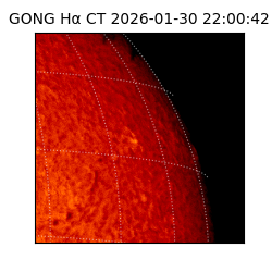gong - 2026-01-30T22:00:42