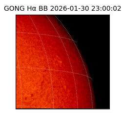gong - 2026-01-30T23:00:02