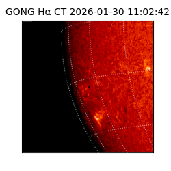 gong - 2026-01-30T11:02:42