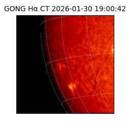 gong - 2026-01-30T19:00:42
