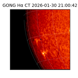 gong - 2026-01-30T21:00:42