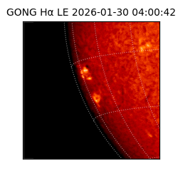 gong - 2026-01-30T04:00:42