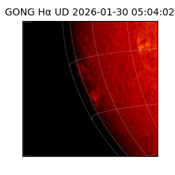 gong - 2026-01-30T05:04:02