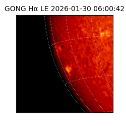 gong - 2026-01-30T06:00:42
