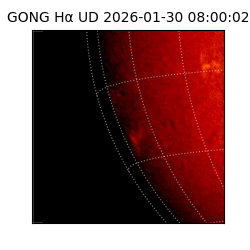 gong - 2026-01-30T08:00:02