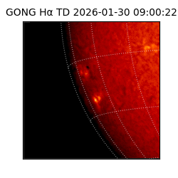 gong - 2026-01-30T09:00:22
