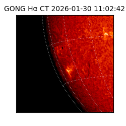 gong - 2026-01-30T11:02:42