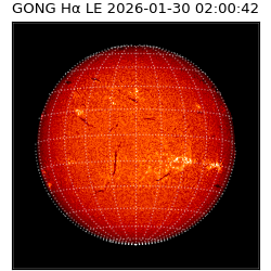 gong - 2026-01-30T02:00:42