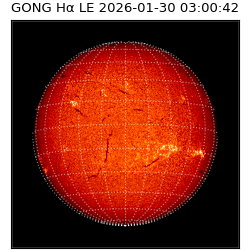 gong - 2026-01-30T03:00:42