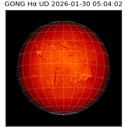 gong - 2026-01-30T05:04:02