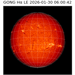 gong - 2026-01-30T06:00:42