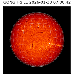 gong - 2026-01-30T07:00:42