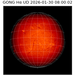 gong - 2026-01-30T08:00:02