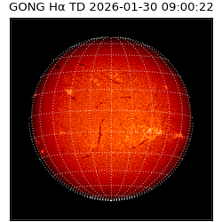 gong - 2026-01-30T09:00:22