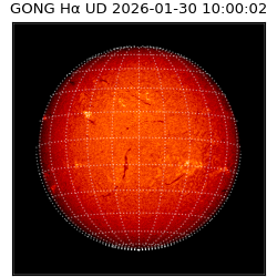 gong - 2026-01-30T10:00:02