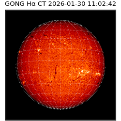 gong - 2026-01-30T11:02:42